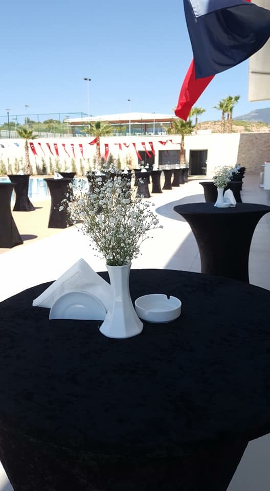 Ses Sistemi Kurulumu